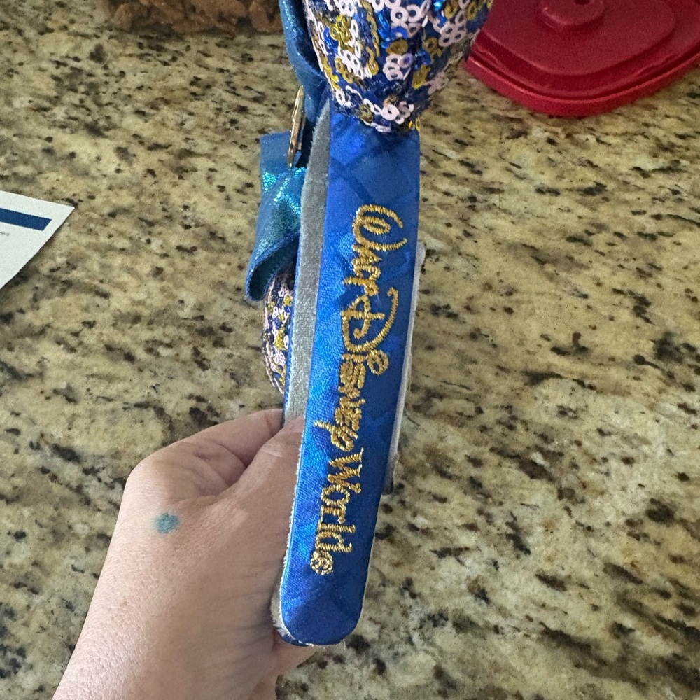 Disney World Passholder Ears View 2